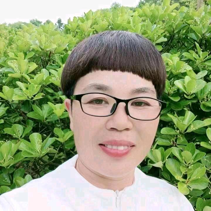 枫叶姐