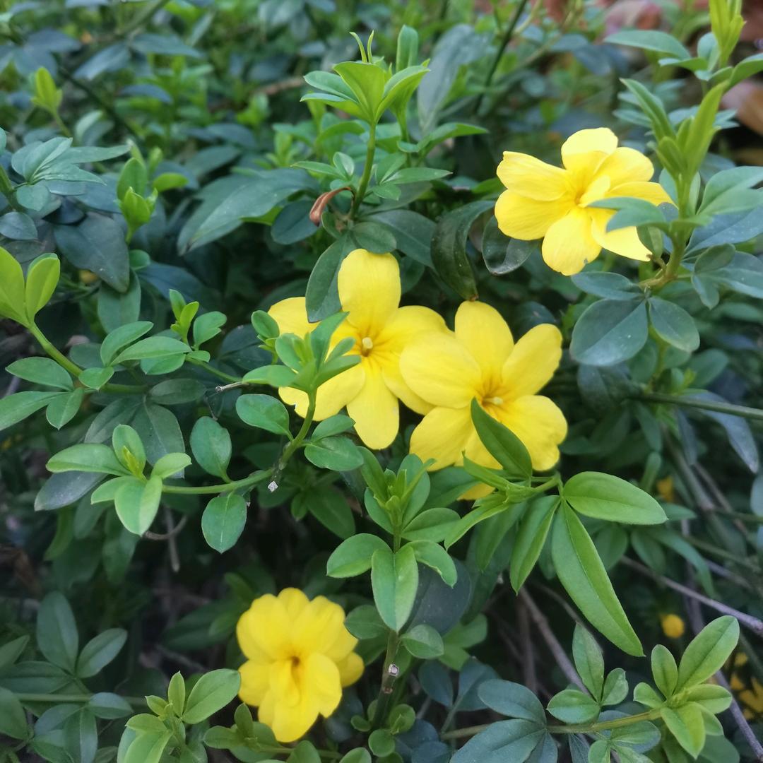 &四季(ಡωಡ) 安然