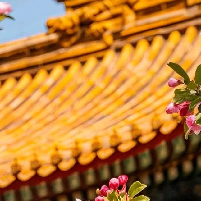 平凡之路