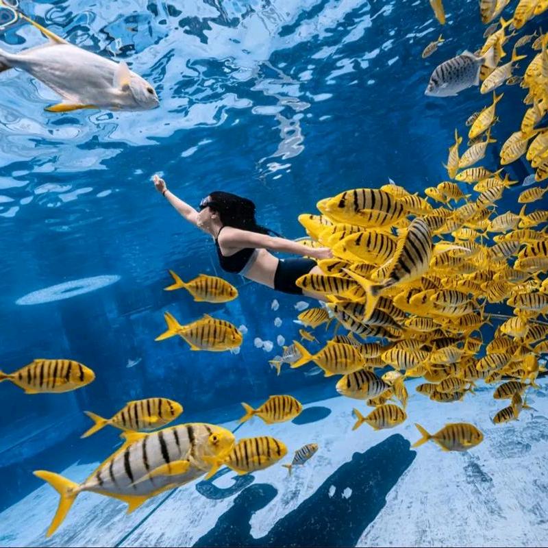 飘洋过海