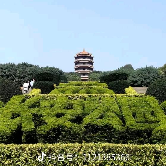 人生不平凡