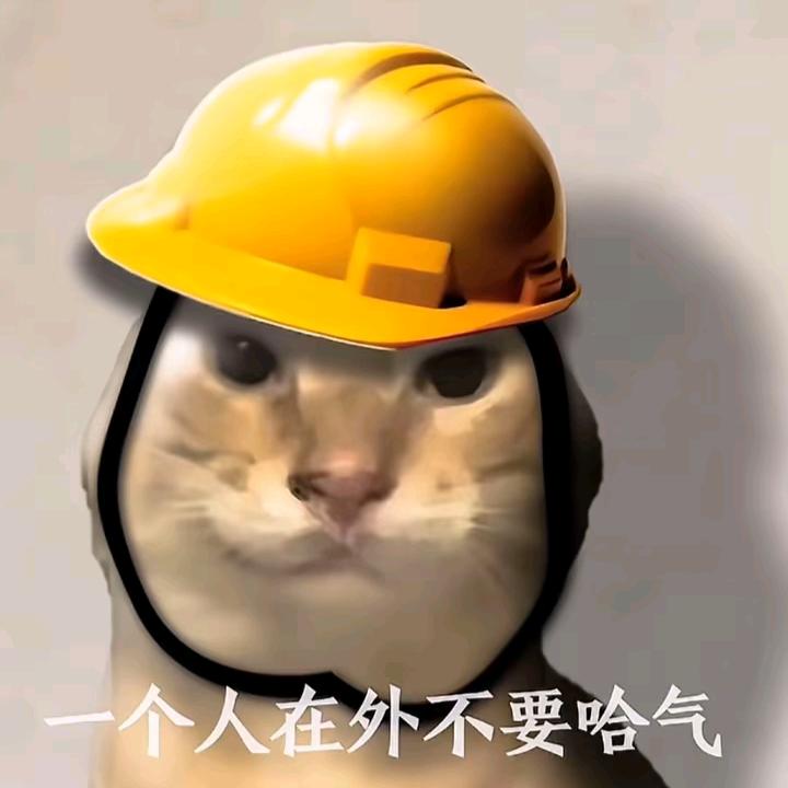 哈基星人