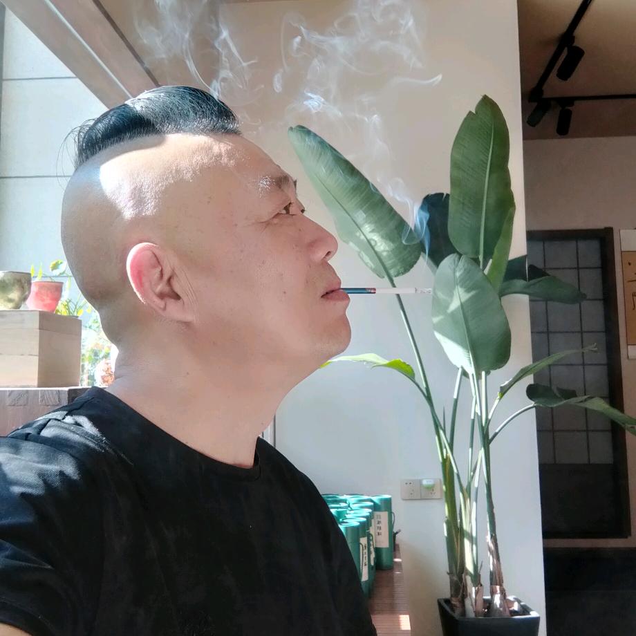 东奔西走