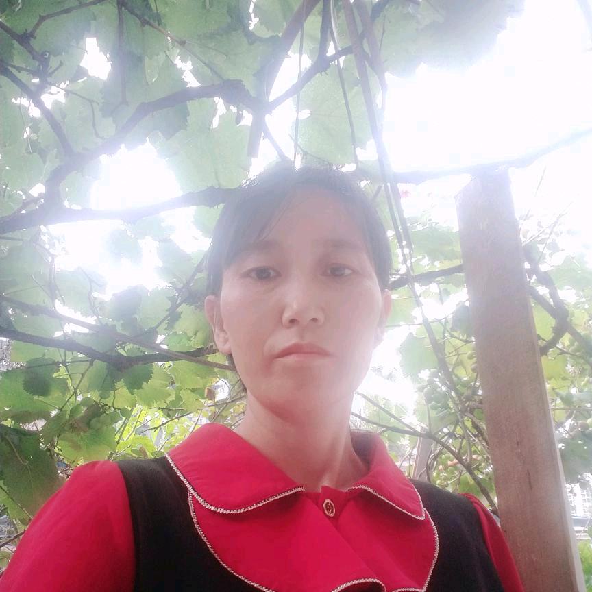 彩红