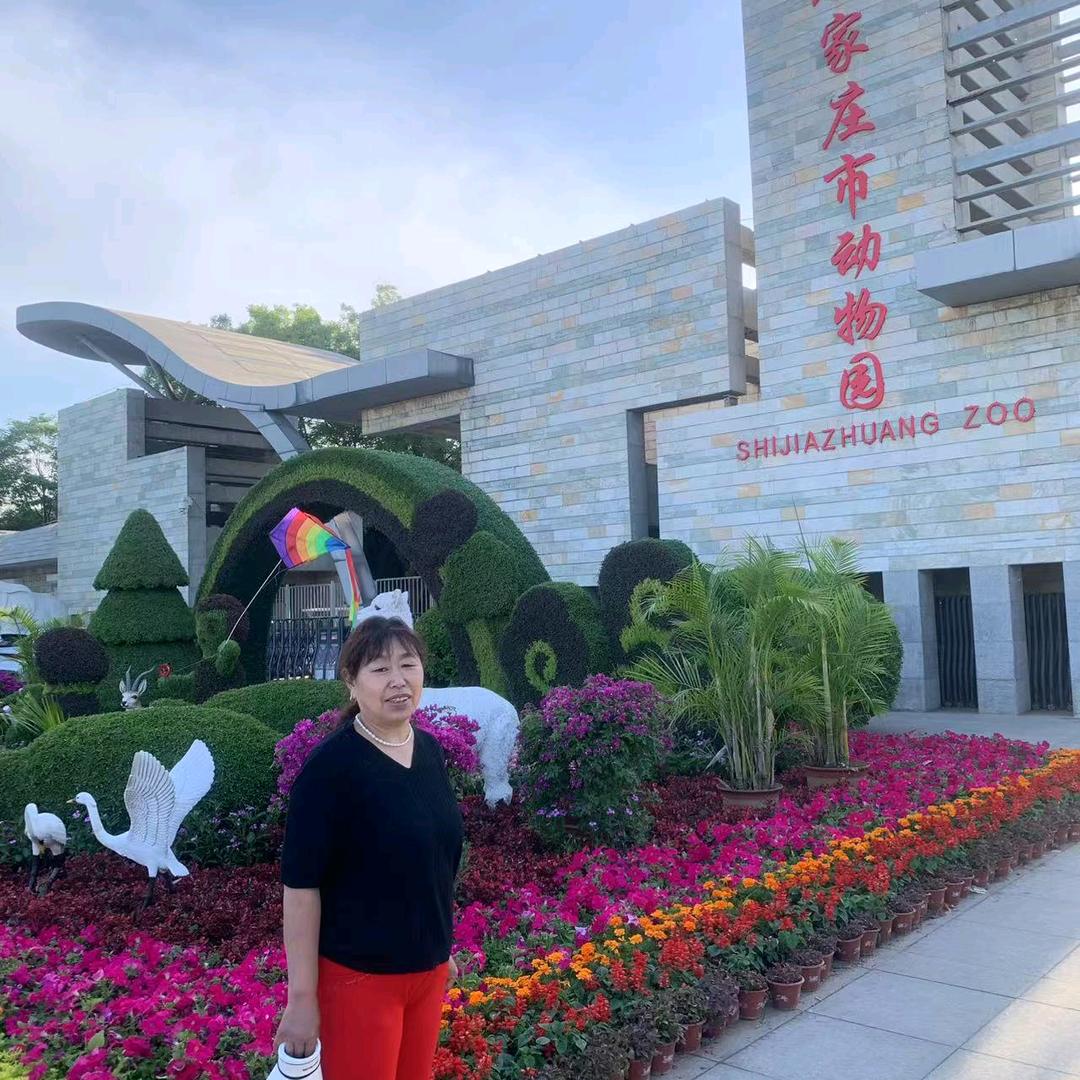 一朵玫瑰（拒绝私聊）