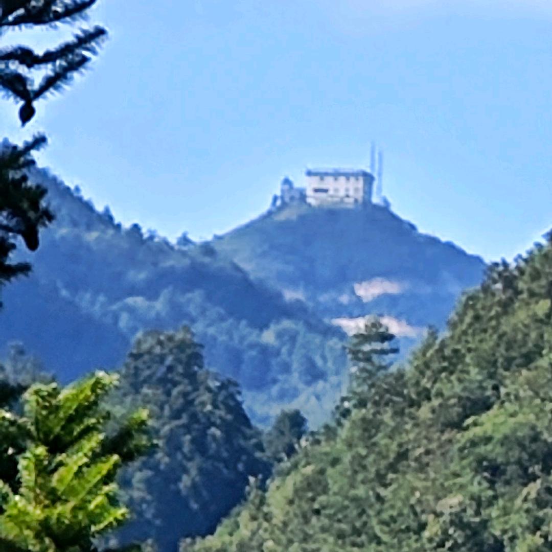 金生
