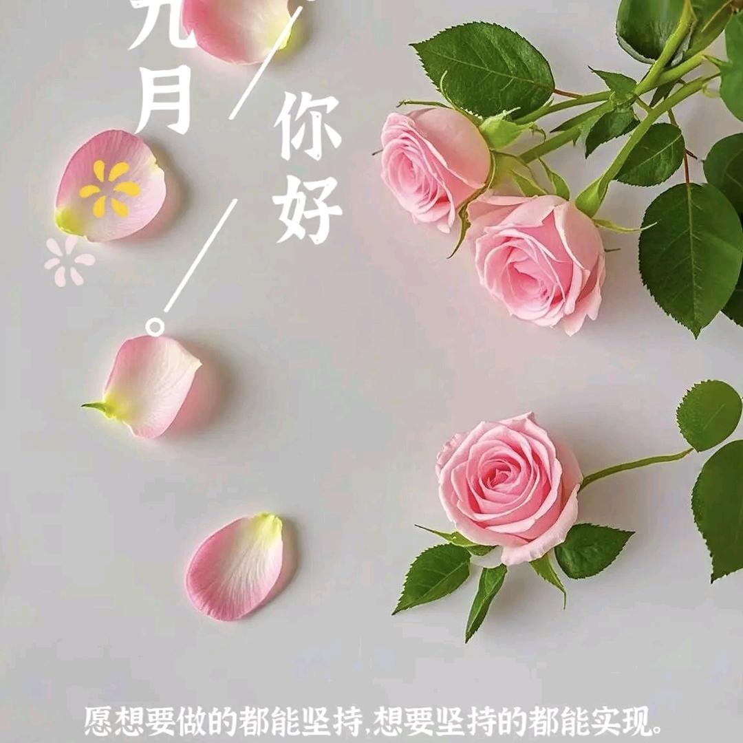 ♥(｡￫v￩｡)♥