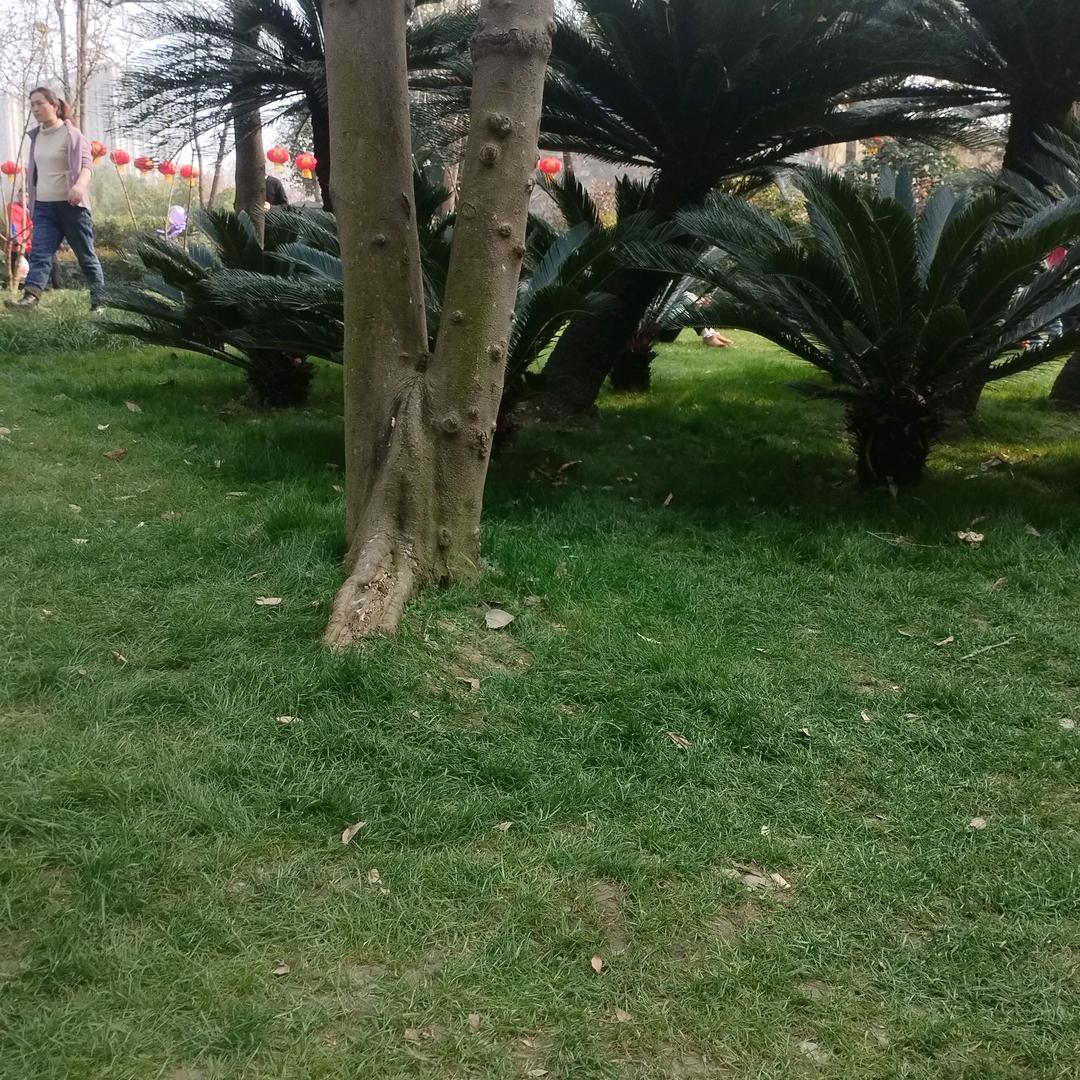 平平淡淡才是真