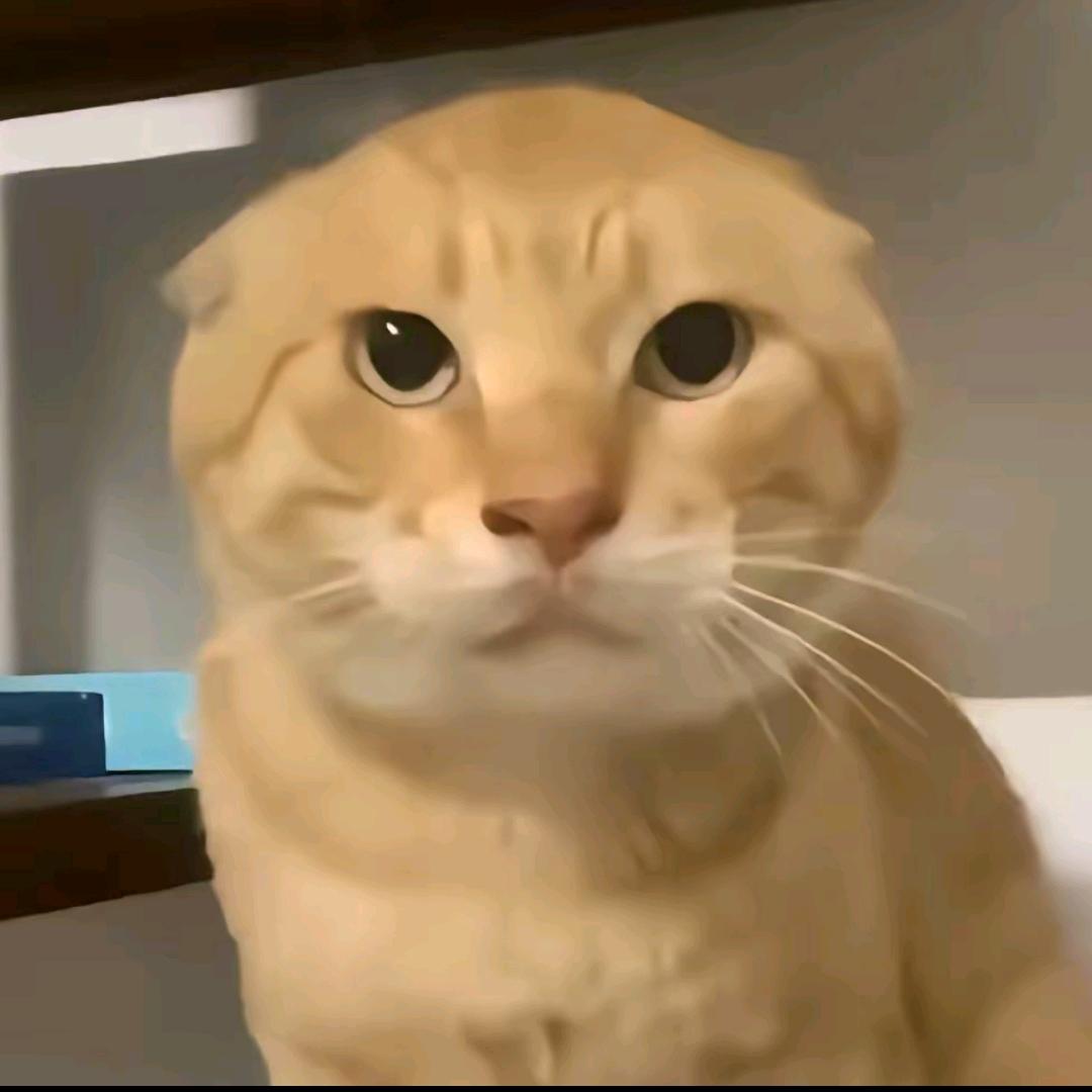 AAA–耄师傅版图批发