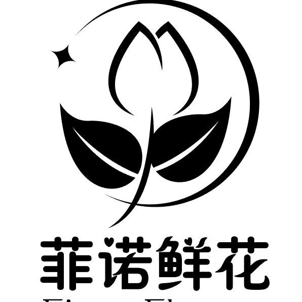 黄骅市菲诺商贸有限公司