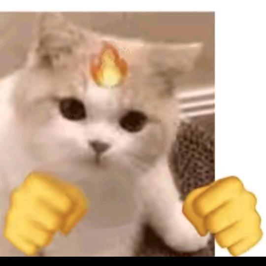 馒好笑的