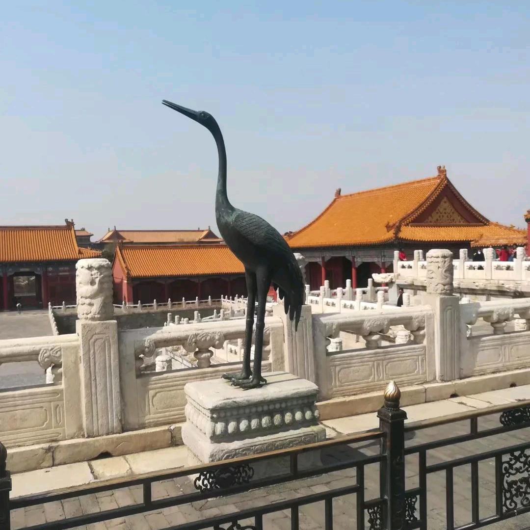 随心随性