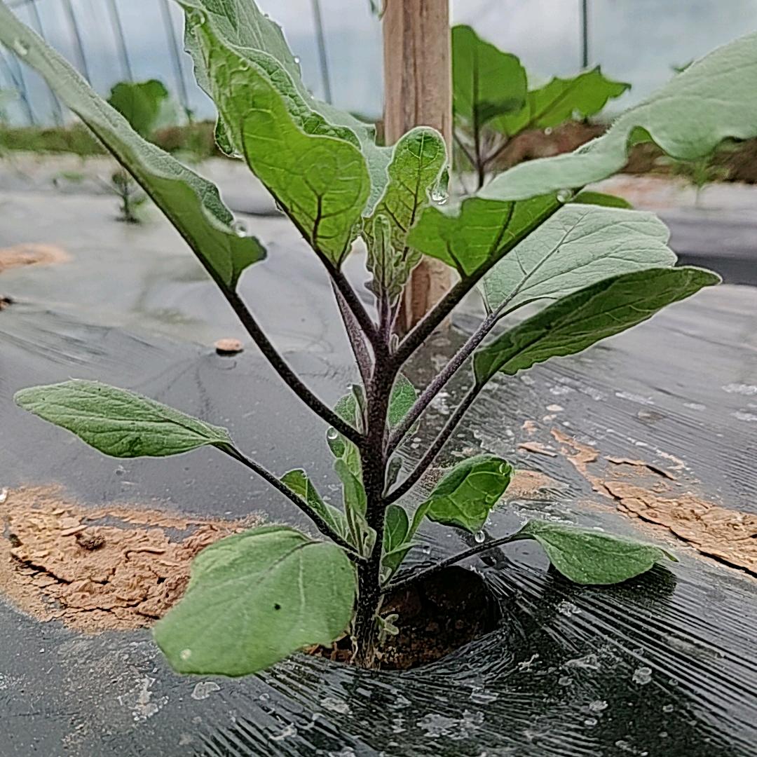 荣福五金铺