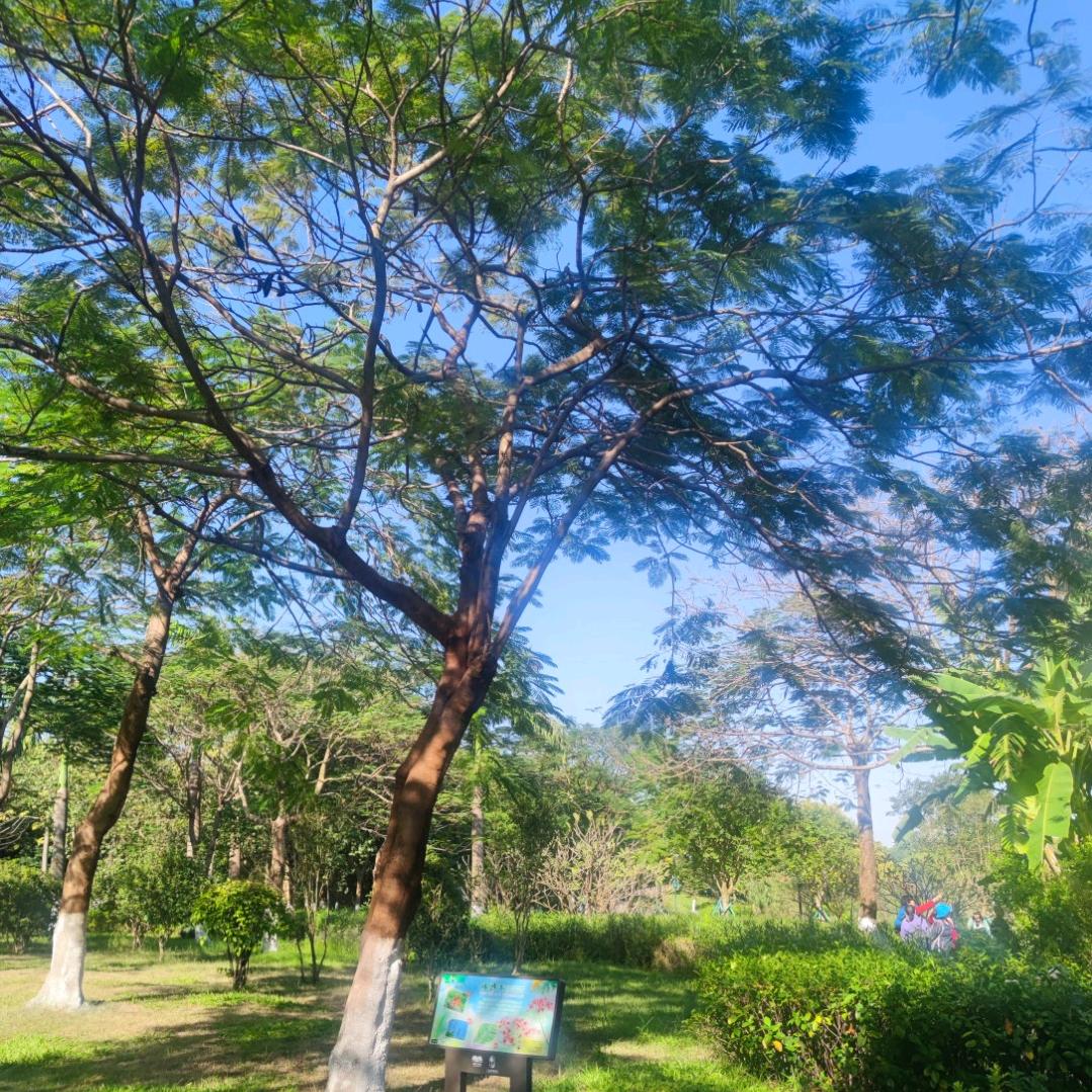 人生若只如初见