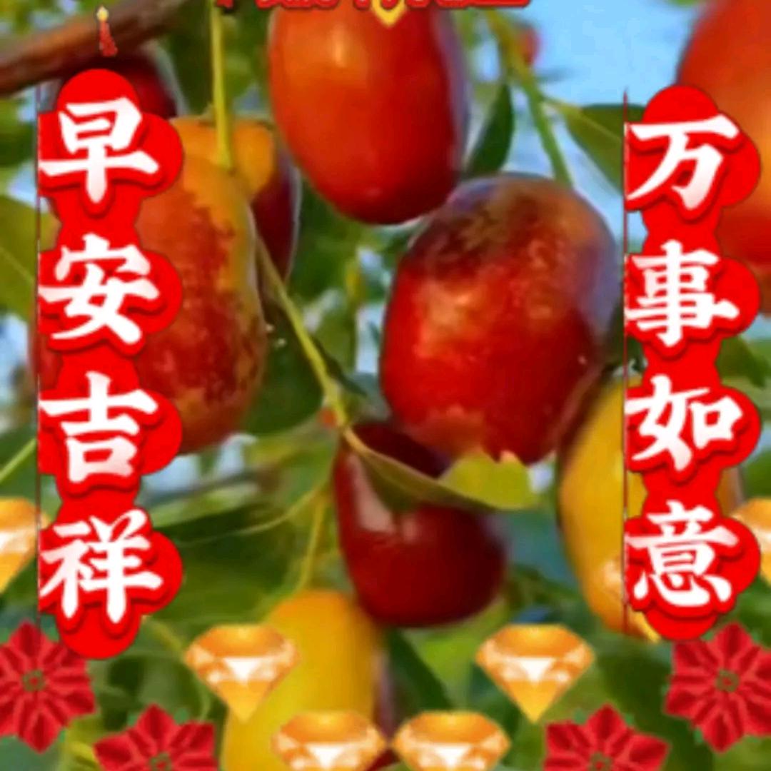 李婧婕（大号）。