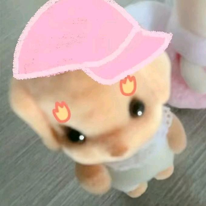 海绵