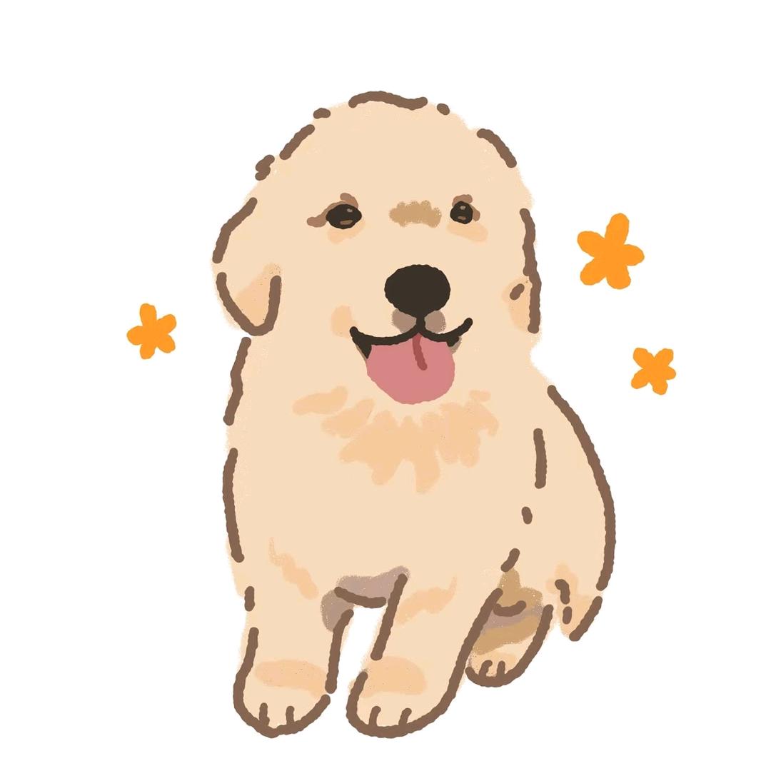 包头金毛犬舍