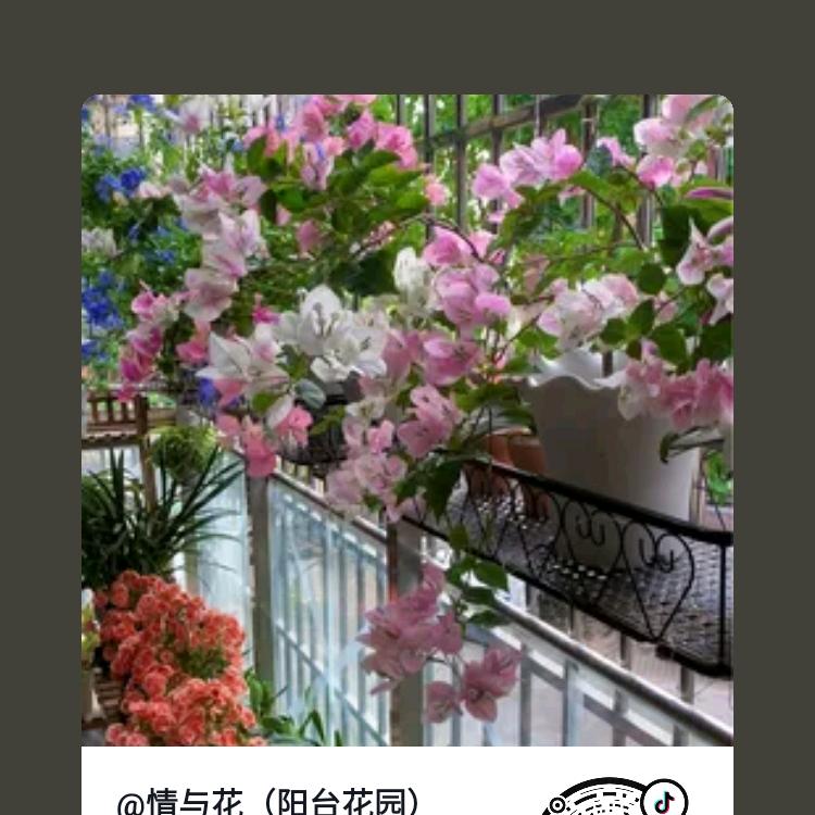 💞很🐾辛✨运🌴遇🎵见🤞你🌹