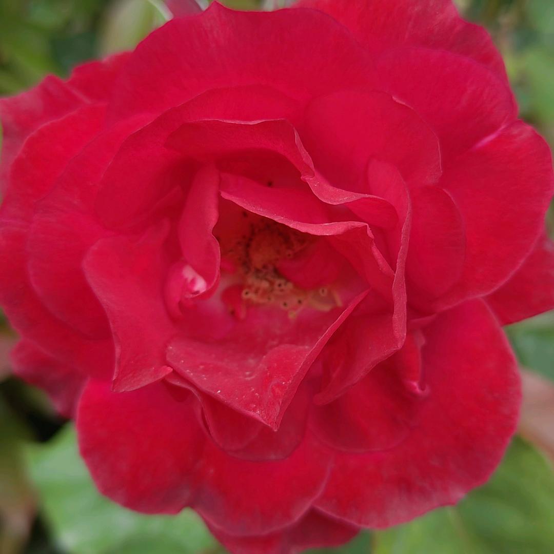 高低压电工考证学习