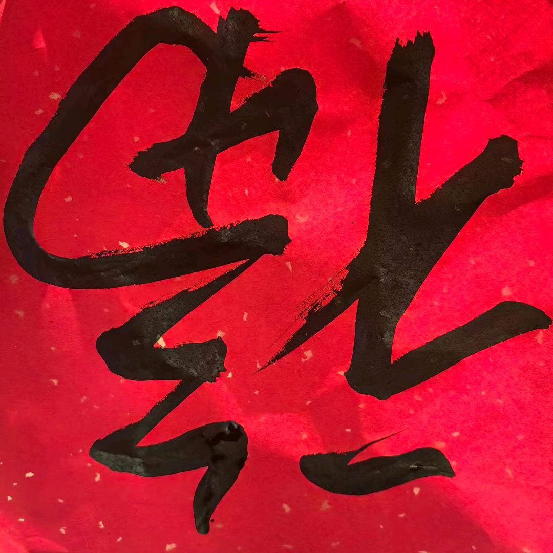 锦葵