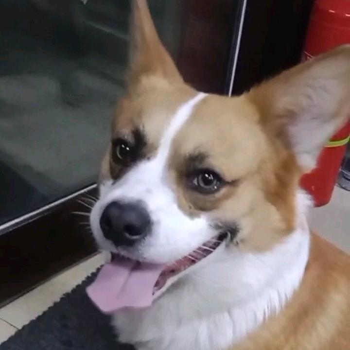 赢泽