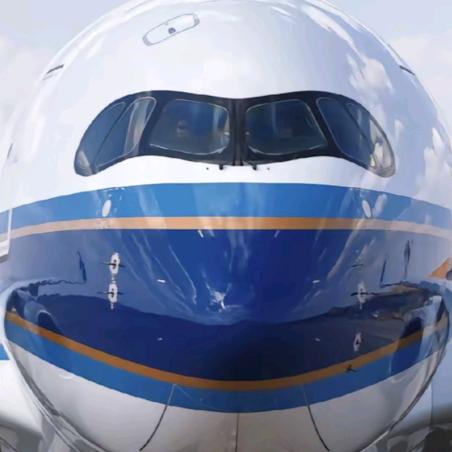 一架南航的a350（飞友）（车友）