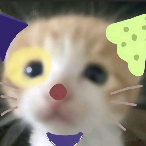 小菜狗侠