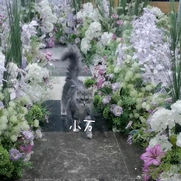 万象仿真花批发