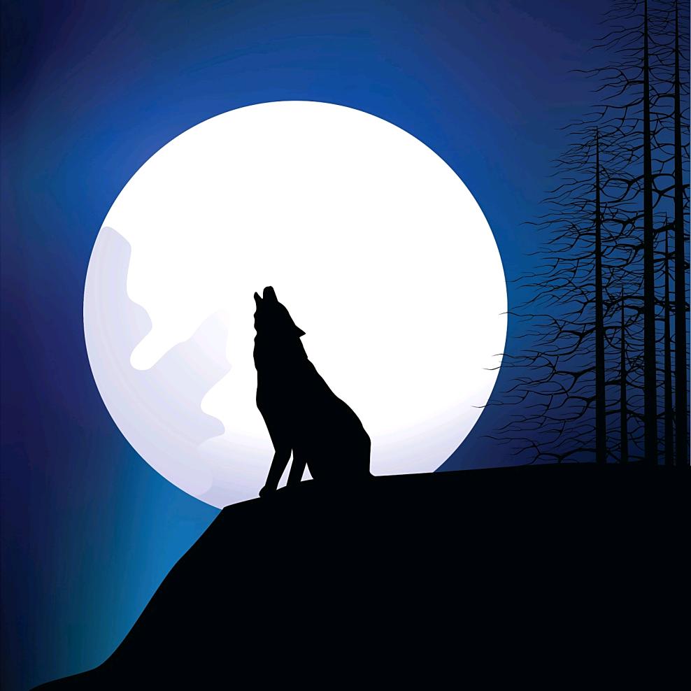 独狼🐺