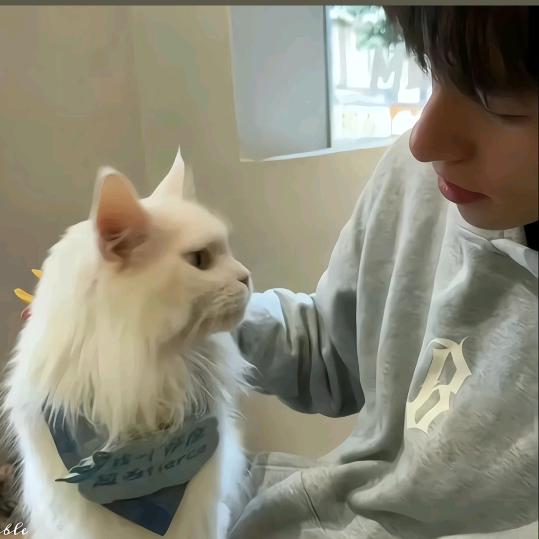 喜-财ㅤㅤㅤㅤㅤㅤㅤㅤㅤㅤㅤ?