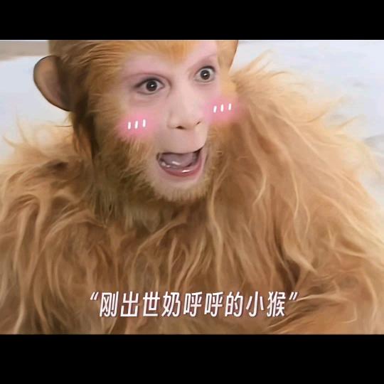 Yang姐姐