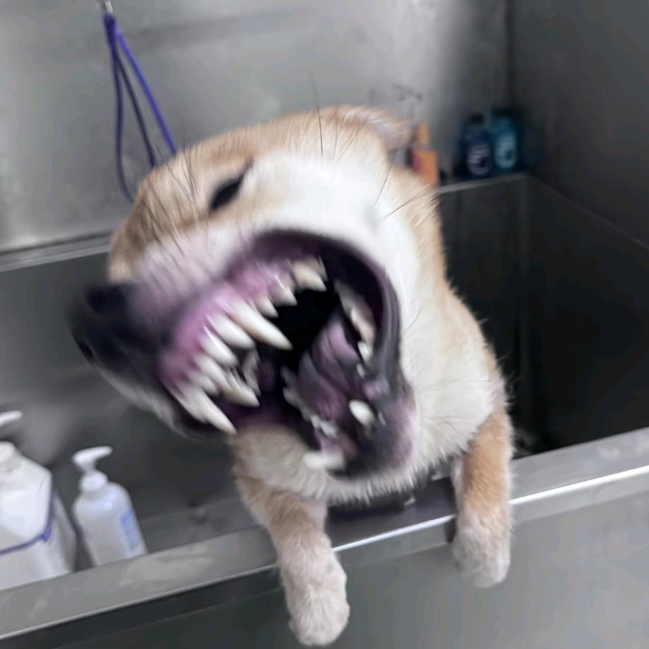 黑暗☽☄信条