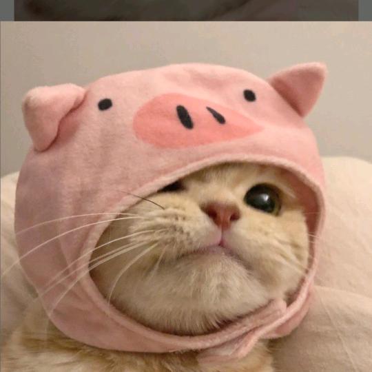 这瓜包熟