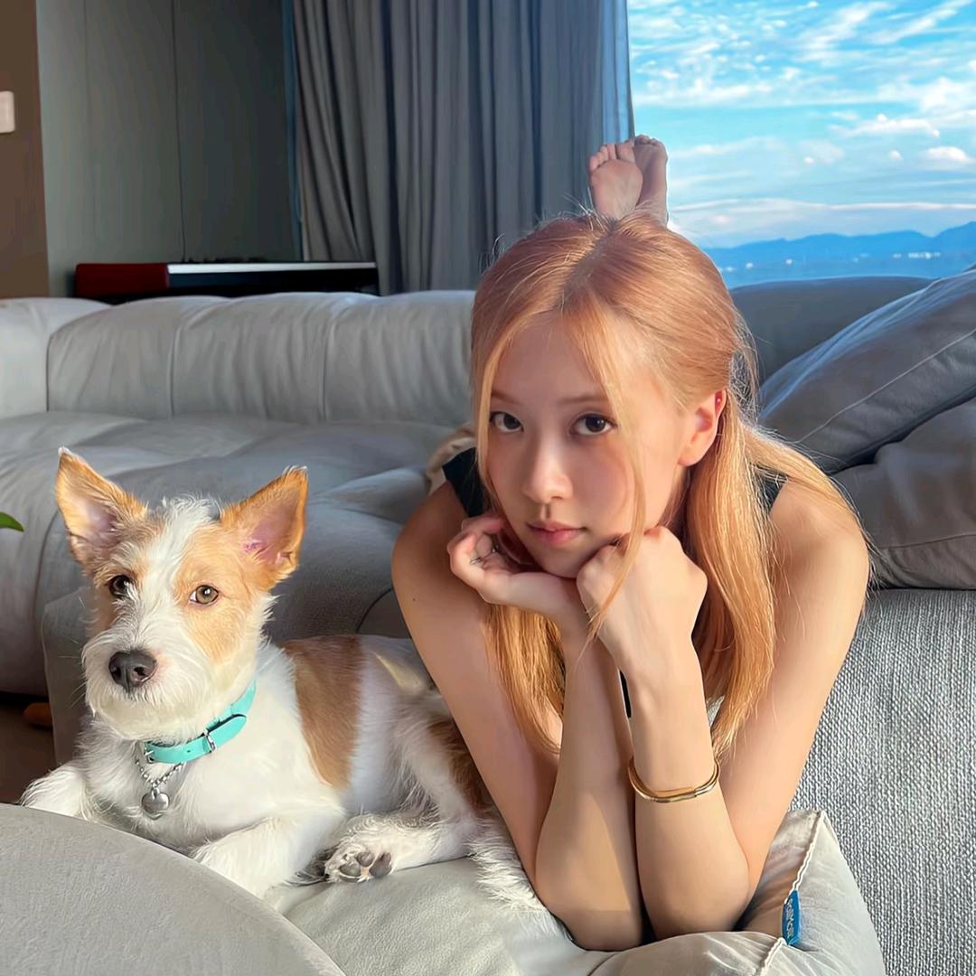 七山山地运动学院-小惠