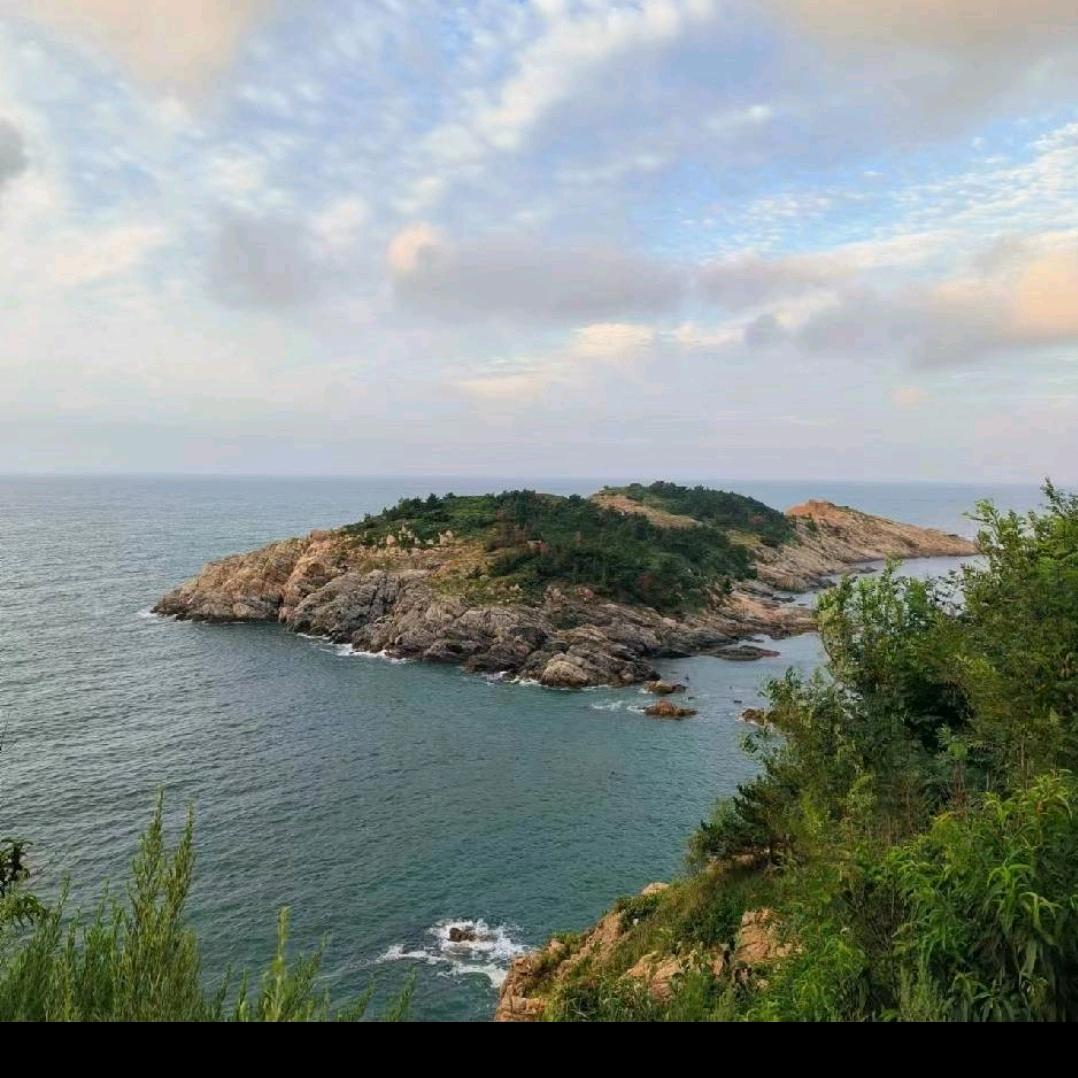 至尊龙皇海城公主头像