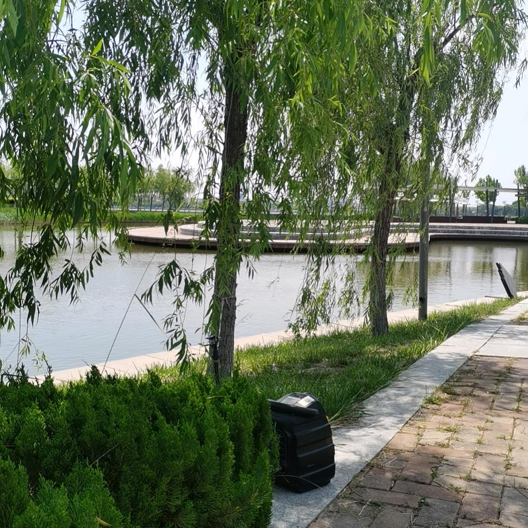 友好