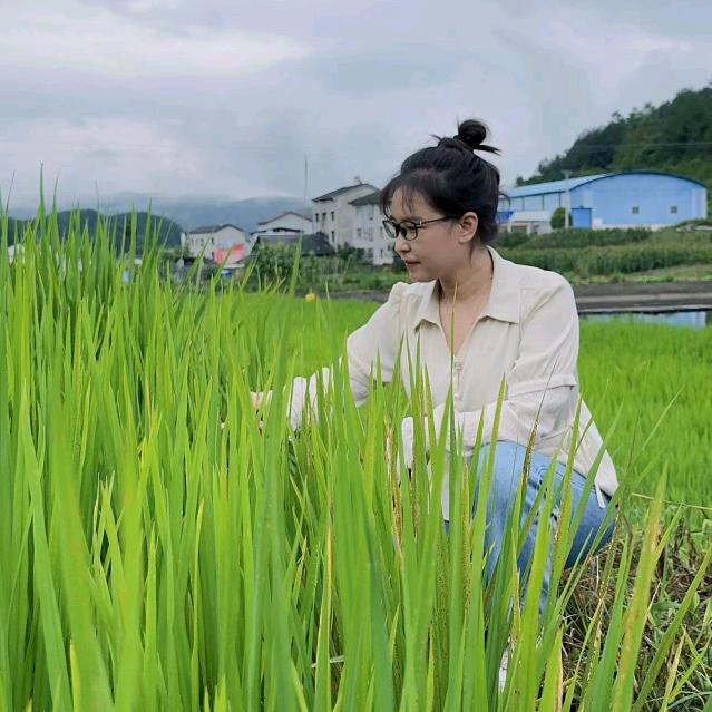 启明大师姐(试验田)