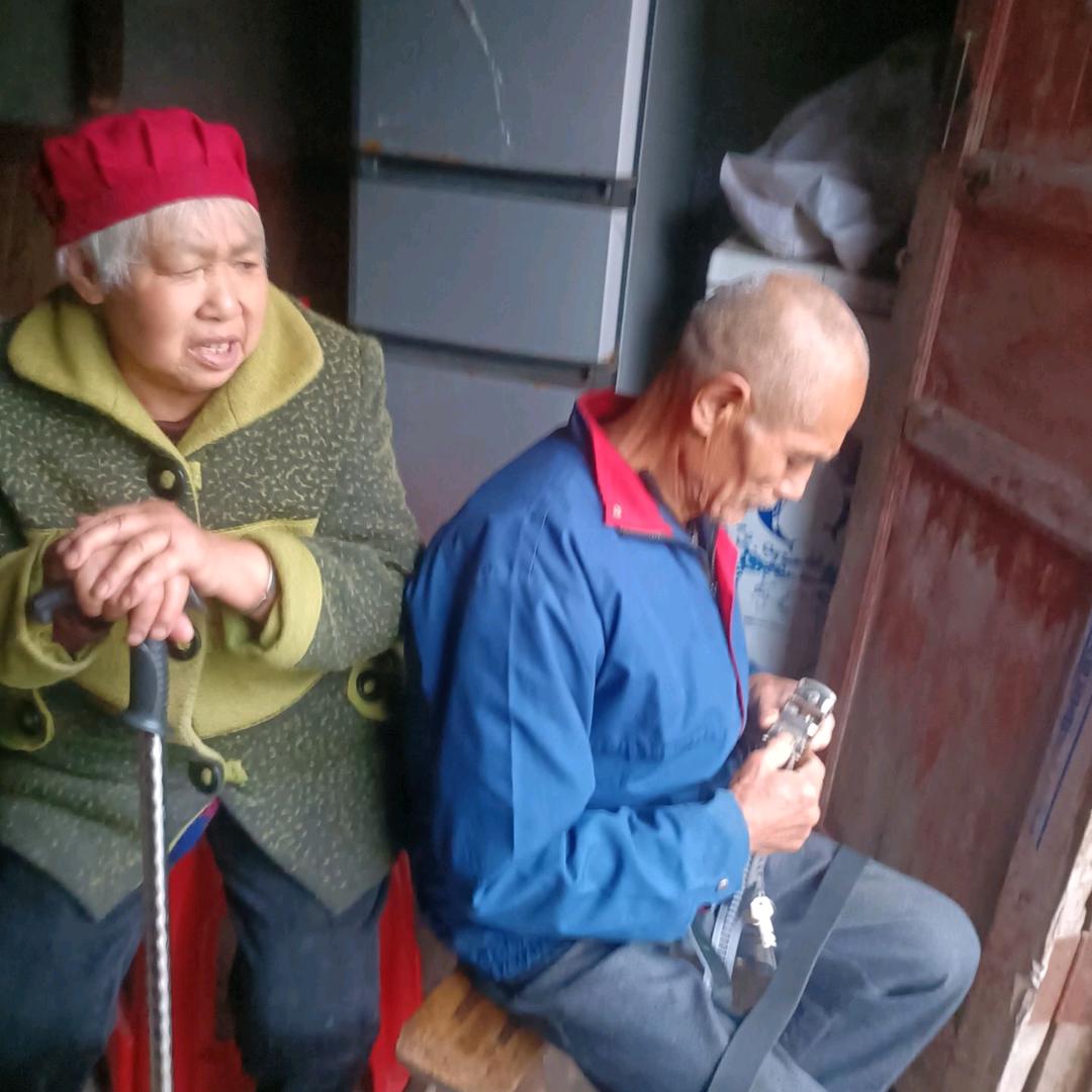 西西。