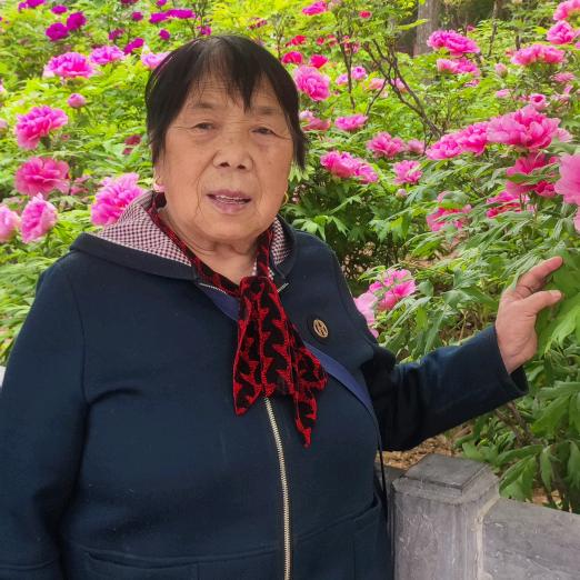 舞动人生