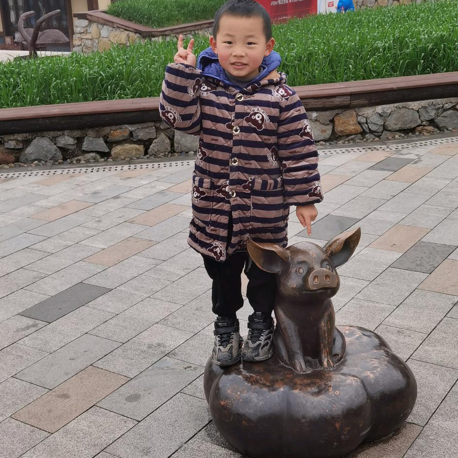 鲸与海