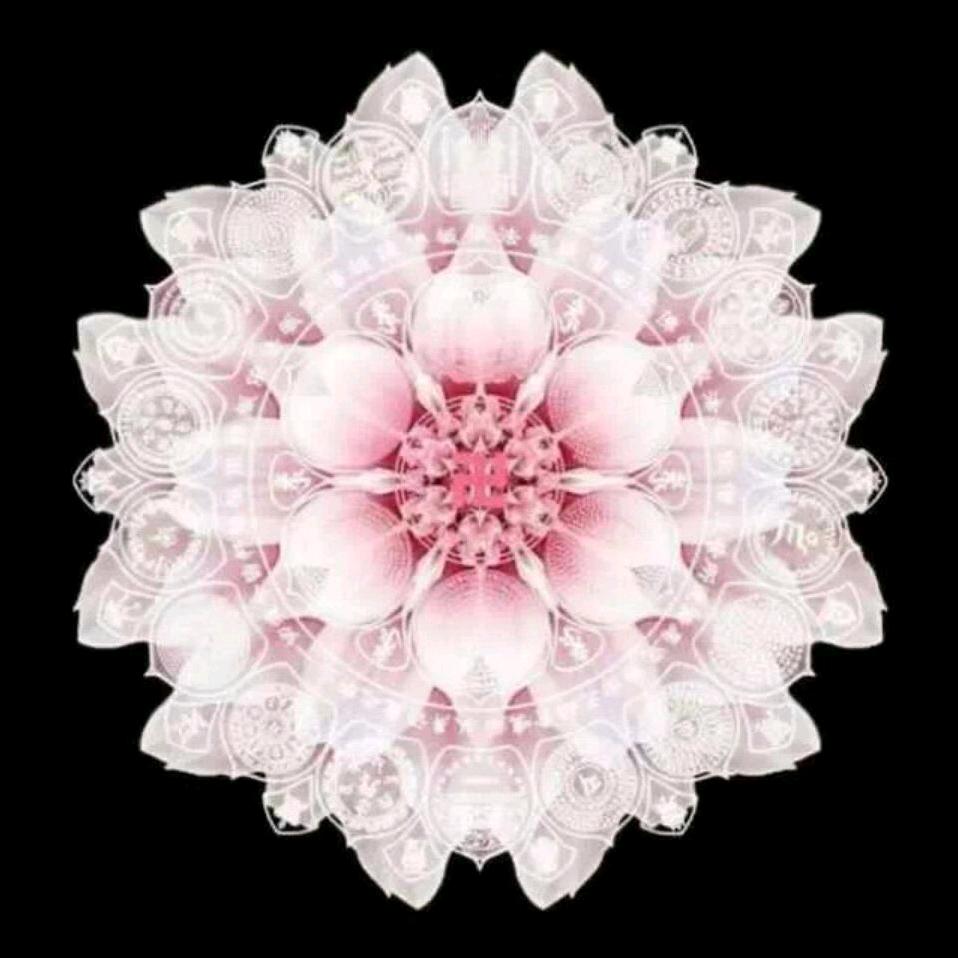 🌸一    *👍