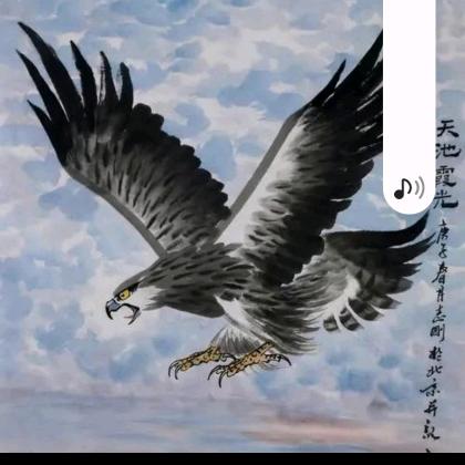 表情