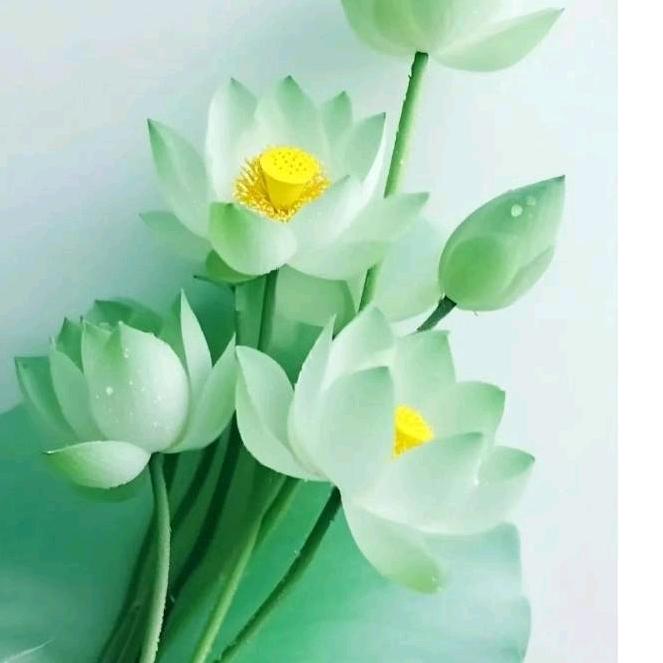 清风徐来☘️