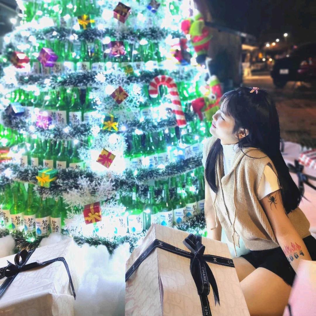 中国人游越南