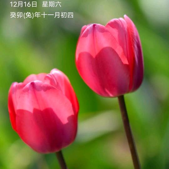 平平淡淡5772136379081