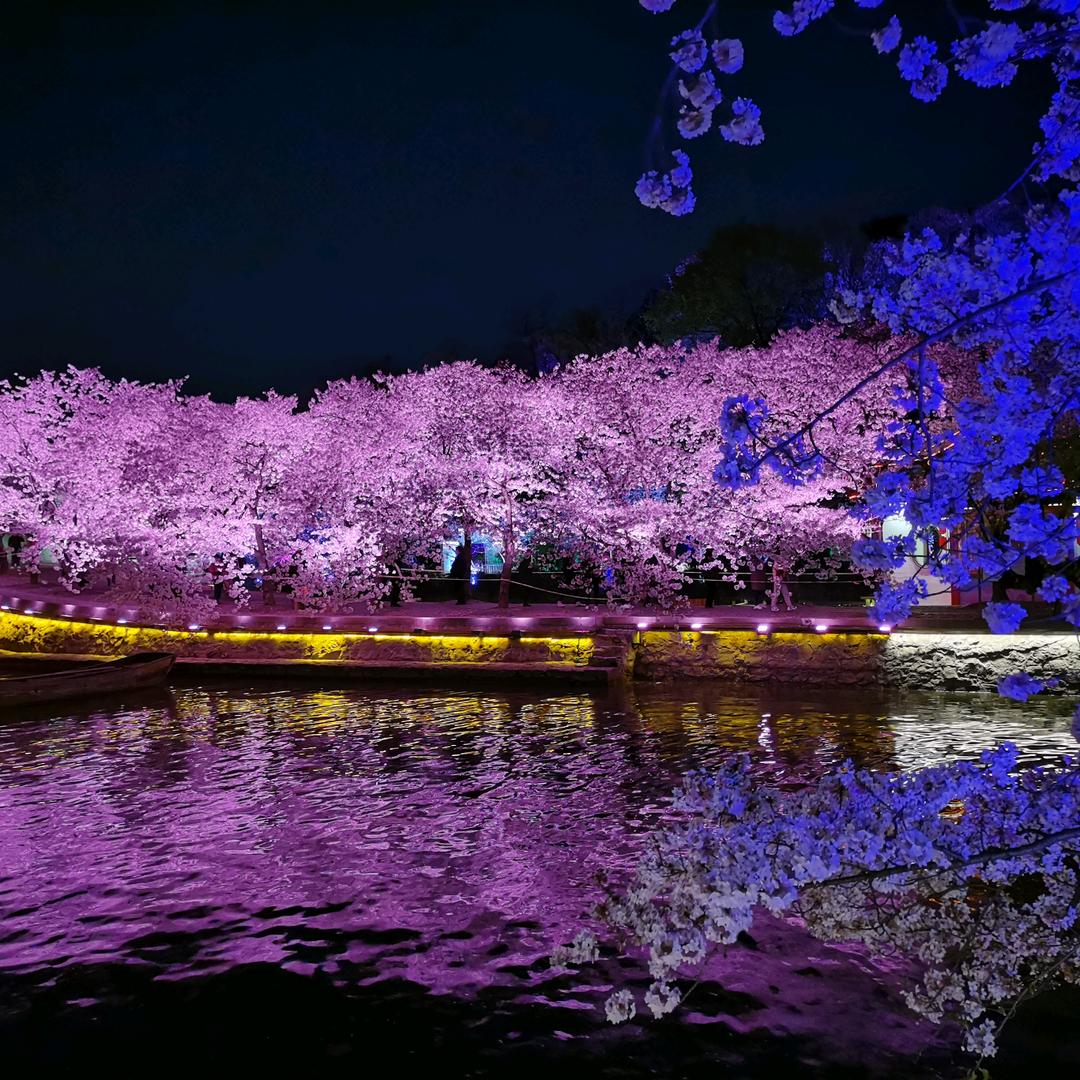 芳草