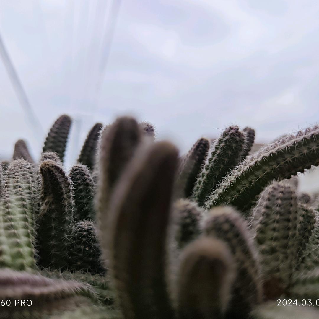 不会装宽带的,小李