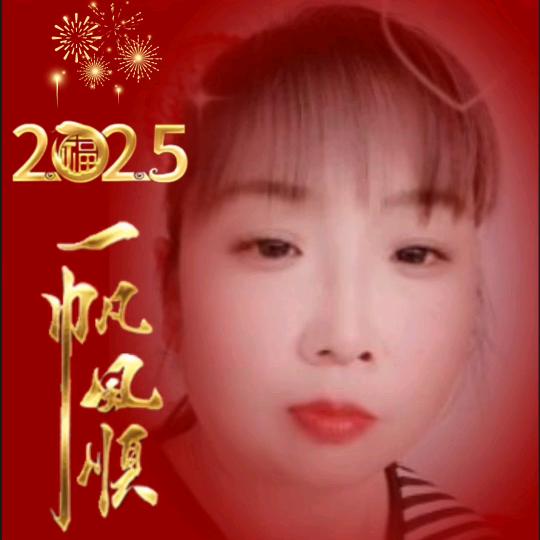 九天揽月