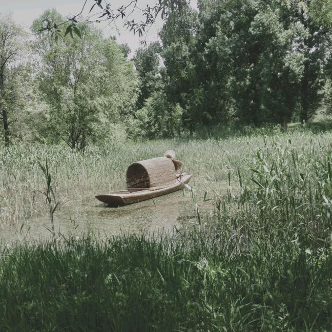 被遺忘的回憶