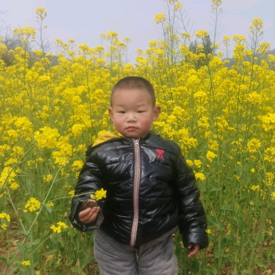 杨